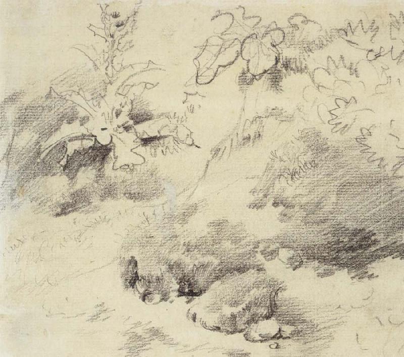 Thomas Gainsborough Study for a Foreground,a Bank with Weeds and Thistles France oil painting art